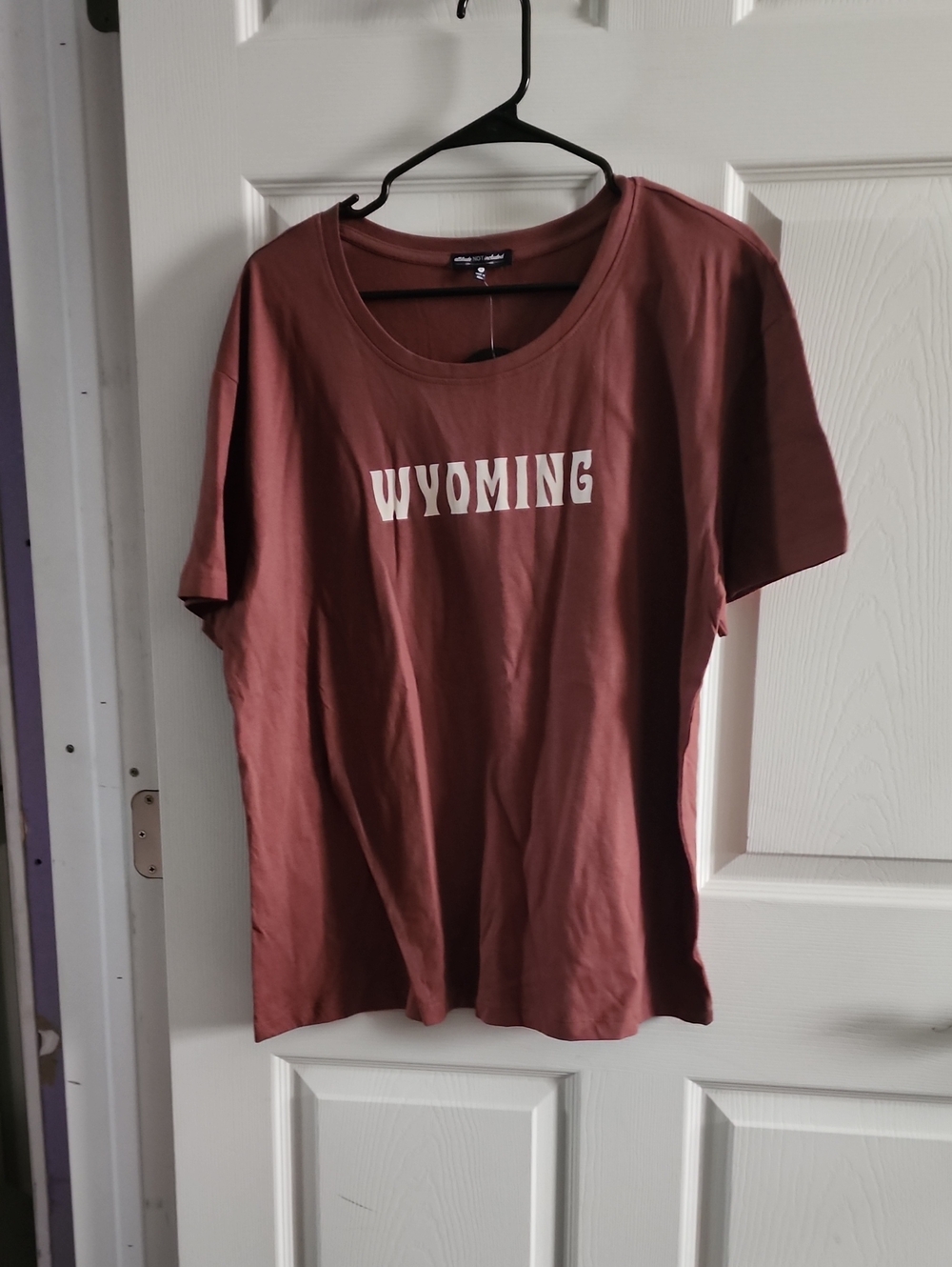 Wyoming Short Sleeve Graphic Tee - Women's Dusty Rose